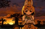 animal_ears bare_shoulders belt blonde_hair brown_eyes closed_mouth cloud elbow_gloves gloves high-waist_skirt holding itsuki_tasuku kemono_friends light_smile outdoors paper_airplane serval_(kemono_friends) serval_ears serval_print serval_tail shirt skirt sky sleeveless sleeveless_shirt solo striped_tail sunset tail tree 