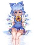  :3 arms_at_sides bangs belly blue_dress blue_eyes blue_hair blush bow cirno colored_eyelashes convolvulus dark_skin dress eyebrows_visible_through_hair flower frilled_sleeves frills hair_between_eyes hair_bow head_tilt hidden_star_in_four_seasons highres ice ice_wings light_smile looking_at_viewer mofashi_beibei plant reflection shiny shiny_skin shirt short_dress short_hair sitting sleeveless sleeveless_dress solo sunflower tanned_cirno thighhighs touhou vines white_legwear white_shirt wings zettai_ryouiki 