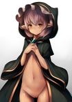 bad_id bad_twitter_id bangs blush brown_eyes cloak closed_mouth cowboy_shot gem granblue_fantasy highres hood inaba_sunimi long_sleeves looking_at_viewer minigob naked_cloak navel pointy_ears pussy short_hair silver_hair smile solo stomach wide_sleeves 
