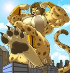  2016 4_toes big_breasts bracelet breasts cheetah city claws cleavage clothed clothing cloud feet feline female jewelry macro mammal muscular open_mouth pawpads paws skimpy sky soles solo spots sun toepads toes zp92 