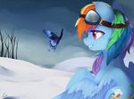  arthropod blue_feathers blue_fur butterfly cutie_mark day duo equine eyewear feathered_wings feathers female feral friendship_is_magic fur goggles haidiannotes hair hi_res insect mammal multicolored_hair my_little_pony outside pegasus purple_eyes rainbow_dash_(mlp) rainbow_hair smile snow solo wings 