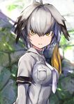  amamitsu_kousuke blurry blurry_background bodystocking breasts grey_shirt head_wings kemono_friends long_hair looking_at_viewer low_ponytail medium_breasts multicolored_hair necktie shirt shoebill_(kemono_friends) short_sleeves side_ponytail solo yellow_eyes 