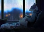  akitamonster ambiguous_gender anthro barefoot bed canine clothed clothing detailed_background dog hooves knitting mammal on_bed raining sitting smile solo window 