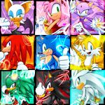  amy_rose bat blaze_the_cat cat cristianharold0000 feline female hedgehog jet_the_hawk knuckles_the_echidna male mammal miles_prower rouge_the_bat shadow_the_hedgehog silver_the_hedgehog sonic_(series) sonic_riders sonic_the_hedgehog tagme 