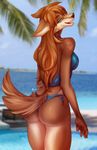  anthro beach bikini butt canine clothed clothing female jesusy looking_back mammal open_mouth outside seaside smile solo standing swimsuit 