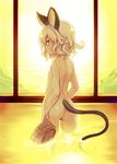  animal_ears ass bath bathing breasts bucket from_behind grey_hair looking_at_viewer minamura_haruki mouse_ears mouse_tail nazrin nude onsen profile red_eyes short_hair sideways_glance small_breasts solo standing steam tail touhou wading wet 
