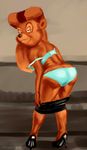  bear cunningham disney mammal rebecca talespin vylfgor 