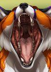  2017 ambiguous_gender black_fur black_lips black_nose blue_eyes blue_fur canine digital_media_(artwork) fangs fox front_view fur gaping_mouth headshot_portrait ifus lips looking_at_viewer mammal mouth_shot open_mouth orange_fur pink_tongue portrait saliva simple_background solo teeth tongue whiskers white_fur 