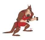  2017 anthro athletic biceps clothed clothing digital_media_(artwork) fur furry_bob hair kangaroo luxordtimet male mammal marsupial muscular muscular_male ozzy_(character) pecs shirt solo standing tank_top tattoo wrestler 