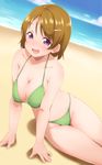  beach bikini breasts brown_hair cleavage day green_bikini hair_ornament hairclip highres homura_shinji horizon koizumi_hanayo large_breasts looking_at_viewer love_live! love_live!_school_idol_project ocean open_mouth outdoors purple_eyes sitting solo swimsuit yokozuwari 