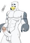  anthro avian ayden_(brogulls) balls bird erection humanoid_penis male muscular penis ryutzke_douga_(artist) seagull solo 