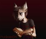  5_fingers anthro book brown_eyes brown_hair canine clothed clothing fur gradient_background hair male mammal punxsimon reading simple_background solo white_fur 
