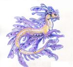  ambiguous_gender dragon feral heather_bruton marine seadragon simple_background solo white_background 