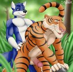  2010 abs anal anal_penetration anthro anthro_on_anthro balls bent_over biceps black_nose blue_eyes blue_fur canine cum depth_of_field digital_media_(artwork) disney duo erection eyes_closed feline fingerless_(marking) folf forest fox from_behind_position fur gloves_(marking) hi_res humanoid_penis hybrid jungle_book male male/male mammal markings multicolored_fur muscular muscular_male nik nude open_mouth outside pecs penetration penis pink_nose raised_tail sex shere_khan sigma_x sonicfox striped_fur stripes talespin tiger tree two_tone_fur vein whiskers wolf 