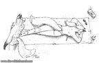  2006 anthro back_boob beverage bikini bird&#039;s-eye_view breasts canine clothed clothing crossed_legs cup dipstick_tail doc_nickel duo eyewear female fox gloves_(marking) greyscale hair high-angle_view holding_object long_hair looking_back lying male mammal markings monochrome multicolored_tail on_front pawpads ponytail radio sandy_(the_whiteboard) shorts socks_(marking) standing sunbathing sunglasses swampy_(the_whiteboard) swimsuit the_whiteboard topless towel webcomic 