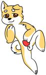  2017 animal_genitalia animal_penis balls brown_eyes canine canine_penis digital_media_(artwork) dog erection flat_colors fur ltcabbitsu mammal pawpads paws penis shiba_inu smile spreading tapering_penis white_fur yellow_fur young 