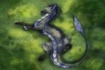  anus darkarlett dragon feral fur furred_dragon hybrid pussy solo 