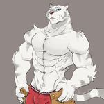  2017 abs anthro biceps clothed clothing drakonika123 feline fur grimoire_of_zero hi_res kemono male mammal mercenary_(character) muscular muscular_male pecs simple_background solo tiger topless white_fur 