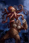  battle giant_monster giant_octopus_(godzilla) godzilla_(series) grimbro kaijuu king_kong king_kong_(series) monster oodako toho_(film_company) 