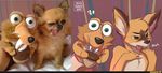  2017 acorn ambigous_gender anthro canine chihuahua dog duo feral fur looking_at_viewer mammal nut rodent scrat simple_background squirrel tongue tongue_out 