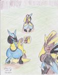  lopunny lucario nintendo pokemon streled 