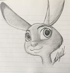  disney female invalid_tag judy judy_hopps lagomorph mammal nikkoriart pencil_(disambiguation) pyocolaxsama rabbit zootopia 