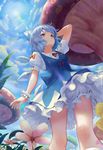  bloomers cirno dress sonic0_0 touhou wings 