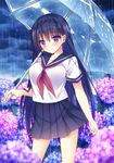  bangs black_hair blue_skirt blush braid closed_mouth cowboy_shot crown_braid eyebrows_visible_through_hair flower hair_between_eyes high-waist_skirt holding holding_umbrella hydrangea long_hair neckerchief original outdoors pleated_skirt purple_eyes purple_hair rain red_neckwear school_uniform serafuku short_sleeves skirt solo sorai_shin'ya standing umbrella very_long_hair 