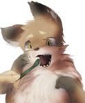  canine disembodied_hand fox mammal nuko0923 open_mouth simple_background toothbrush white_background yellow_eyes ぬこちー 