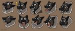  2017 ? angry anthro black_fur black_lips black_nose brown_background brown_fur canine confusion digital_media_(artwork) drooling ears_back expressions eyes_closed fangs fur green_eyes grey_fur grin ifus laugh lips logan_(autumnsunrise) looking_at_viewer looking_away male mammal multicolored_fur open_mouth pink_tongue sad saliva signature simple_background smile smirk solo surprise teeth tongue tongue_out wolf 