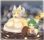  anthro bathing big_breasts breasts canine duo female fox fur hair huge_breasts kyuuri male mammal nude open_mouth overweight smile sweat young 