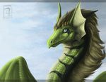  ambiguous_gender blue_eyes deanosaior dragon feral green_scales hair scales smile solo 