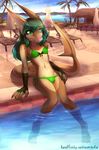  2017 bikini bow clothed clothing eifie fish front_view girly hair highlights inviting long_hair looking_at_viewer male marine midriff navel outside palm_tree pool_(disambiguation) scalie shark sitting smile solo summer swimsuit tree tropical water 