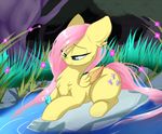  blue_eyes cutie_mark detailed_background equine feathered_wings feathers female feral fluttershy_(mlp) friendship_is_magic grass hair hooves madacon mammal my_little_pony pegasus pink_hair smile solo water wings 