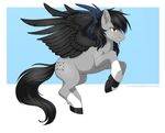  black_feathers black_hair brown_eyes cutie_mark equine fan_character feathered_wings feathers feral fur grey_fur hair hi_res hooves jay-kuro male mammal my_little_pony pegasus simple_background solo wings 