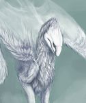  ambiguous_gender blue_eyes deanosaior dragon feathers feral fur furred_dragon furred_wings solo white_feathers white_fur 