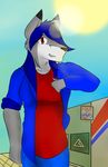  black_nose blue_hair blue_jacket canine carrus_(artist) female folf fox fur grey_fur hair hybrid mammal red_eyes red_shirt solo sun wolf 