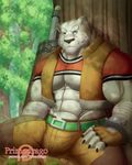  2017 abs anthro biceps blue_eyes clothed clothing feline fingerless_gloves fur gloves grimoire_of_zero hi_res kemono male mammal melee_weapon mercenary_(character) muscular muscular_male patreon primodrago simple_background solo sword tiger weapon white_fur 