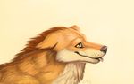  ambiguous_gender canine deanosaior feral fox grey_nose headshot mammal simple_background solo 
