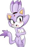  2017 anthro blaze_the_cat blush breasts cat feline female flat_chested fur hair hearlesssoul mammal navel nipples nude open_mouth popon13 pussy solo sonic_(series) standing tongue 