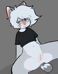  anthro anus bee_the_cat blush bottomless cat clothed clothing feline female fur green_eyes grey_fur hair mammal navel pussy qtipps shirt simple_background sitting spread_legs spreading t-shirt wet white_fur white_hair 