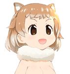  :d animal_ears black-tailed_prairie_dog_(kemono_friends) blush breasts brown_eyes cleavage commentary_request extra_ears face fur_collar gradient kemono_friends large_breasts light_brown_hair multicolored_hair mushi_gyouza nude open_mouth prairie_dog_ears short_hair simple_background smile solo two-tone_hair upper_body white_background 