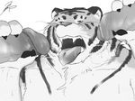  anthro blush erection feline male male/male mammal mohumohuotou monochrome oral penis simple_background tiger white_background 