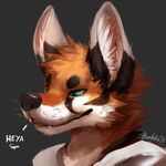  anthro canine clothed clothing fox fur green_eyes male mammal orange_fur simple_background solo text thanshuhai 
