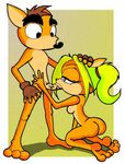  coco_bandicoot crash_bandicoot shostyle tagme 