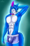  anthro athletic blue_eyes blue_fur blue_tail boxers_(clothing) bulge canine cinta clothed clothing collar dog fur hi_res husky looking_at_viewer male male/male mammal muscular omegahusky pink_fur solo topless underwear white_fur 
