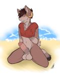  2013 absurd_res anthro balls beach bottomless brown_eyes brown_hair caprine chest_tuft clothed clothing digital_media_(artwork) erection front_view hair hi_res hooves horn humanoid_penis kneeling looking_at_viewer male mammal navel outside partially_retracted_foreskin penis presenting seaside shirt short_hair solo spookysushi spread_legs spreading tuft uncut water 