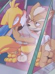  anal anal_penetration anthro balls canine duo fox fox_mccloud male male/male mammal miles_prower nintendo penetration penis rexin sonic_(series) star_fox video_games 