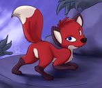  blue_eyes butt canine female feral fox fur jungledyret_hugo kettukarkki mammal outside raised_tail red_fur rita_(jungledyret) solo 