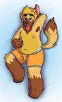  2017 anthro bed bed_sheet bedding belly big_belly briard bulge canine clothing dog fur hair handsdownhound inverted_nipples male mammal nipples overweight paws quintus_(handsdownhound) simple_background slightly_chubby smile solo spreading tongue underwear 